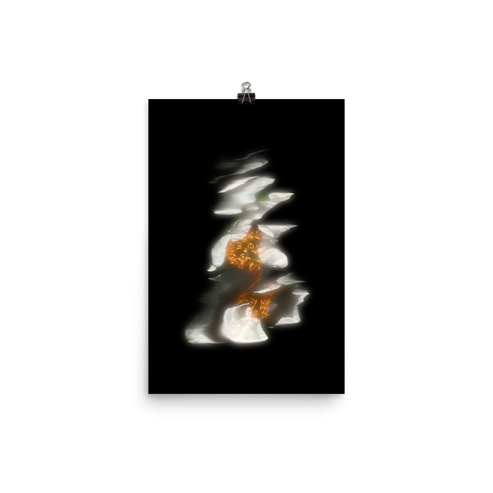 Glow Peony Scanography no. 3 Premium Luster Photo Paper Print