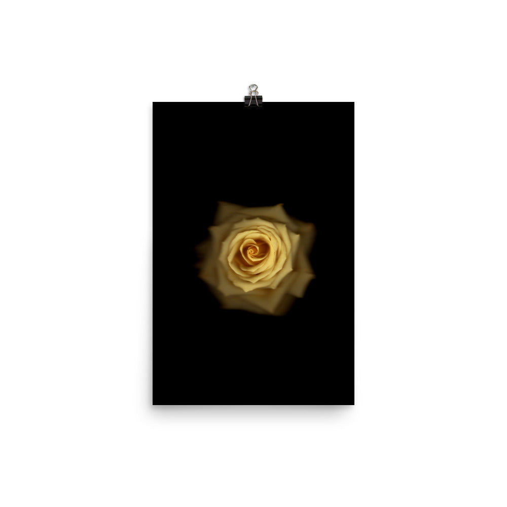 Elegant Yellow Rose Scanography Photo Paper Print