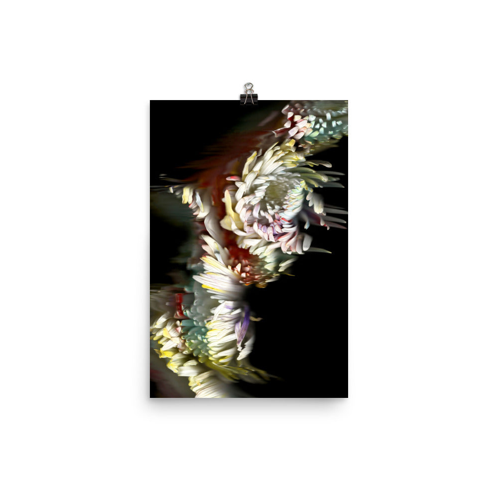 Rainbow Chrysanthemum no. 03 Scanography Premium Luster Photo Paper Print