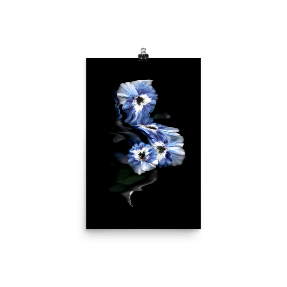 Azure Elegance Pansy Scanography Premium Luster Photo Print