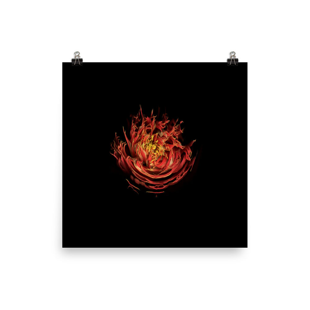 Dahlia Inferno Scanography Premium Luster Photo Paper Print