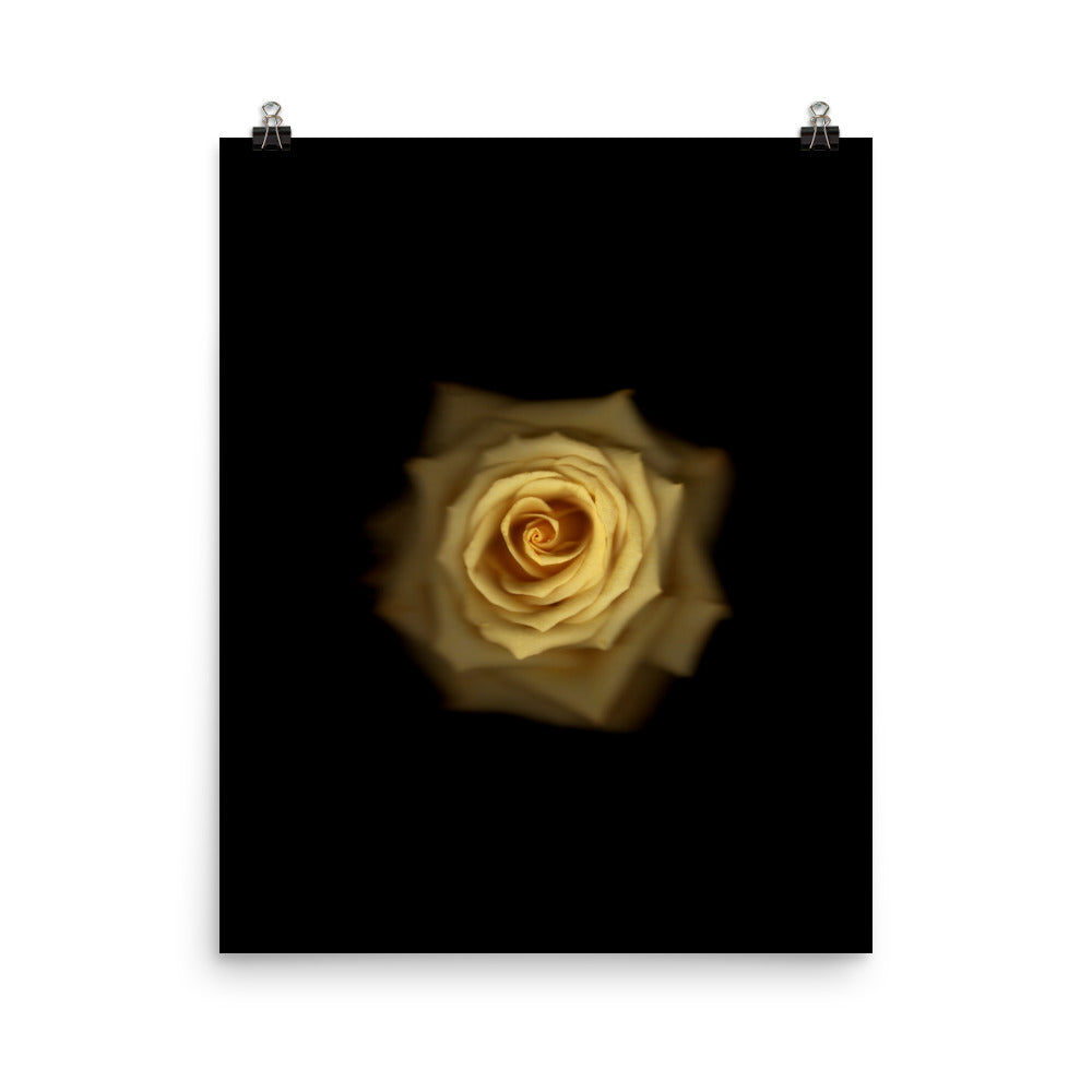 Elegant Yellow Rose Scanography Photo Paper Print