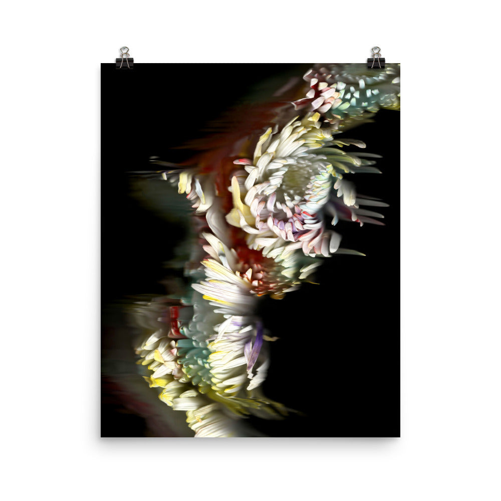Rainbow Chrysanthemum no. 03 Scanography Premium Luster Photo Paper Print