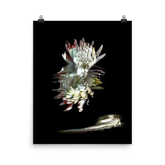 Rainbow Chrysanthemum no. 05 Scanography Photo Paper Print