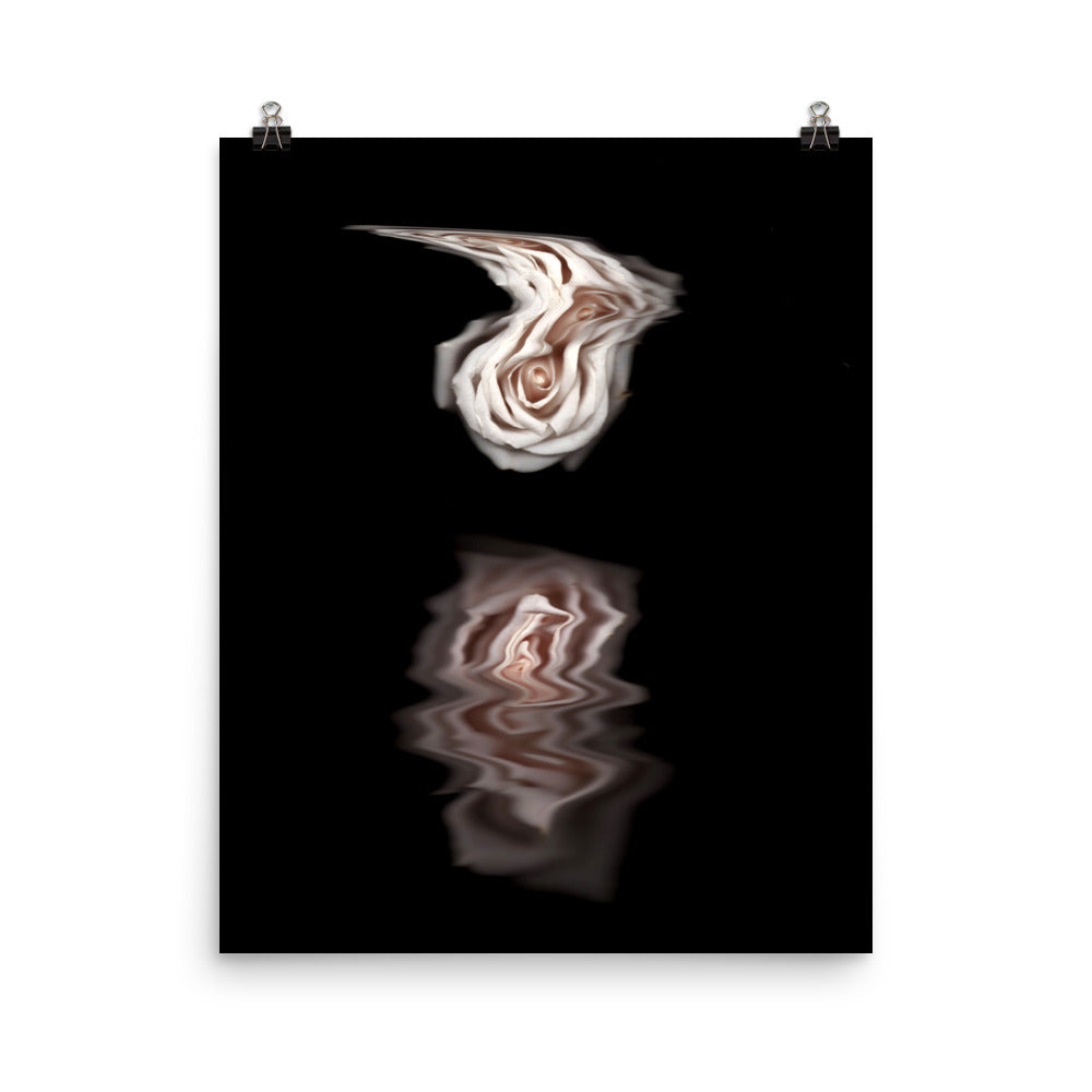 Pink Rose Mirage Scanography Premium Luster Photo Paper Print