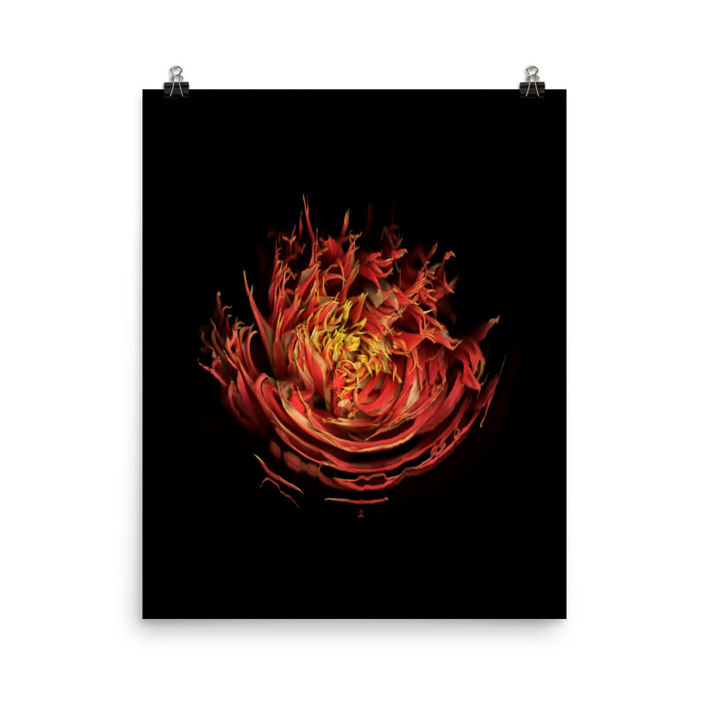Dahlia Inferno Scanography Premium Luster Photo Paper Print