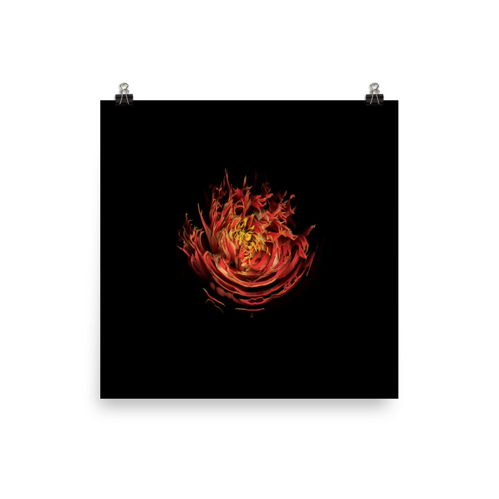 Dahlia Inferno Scanography Premium Luster Photo Paper Print