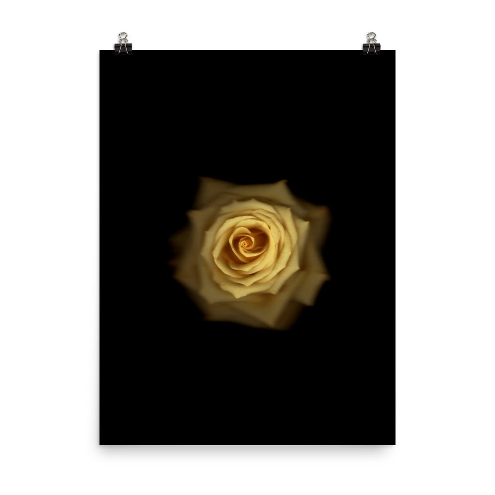 Elegant Yellow Rose Scanography Photo Paper Print