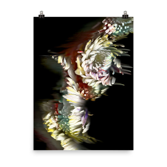 Rainbow Chrysanthemum no. 03 Scanography Photo Paper Print
