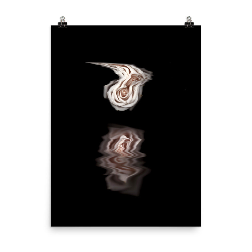 Pink Rose Mirage Scanography Photo Paper Print