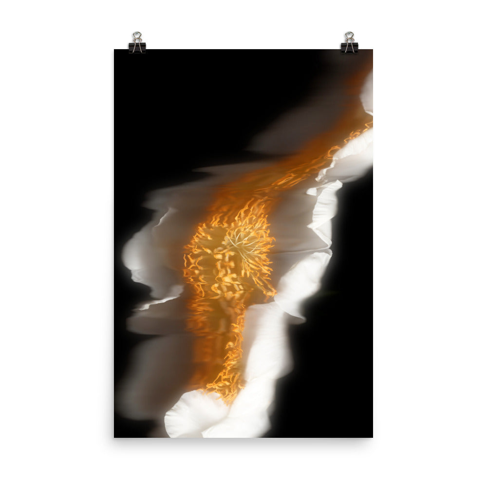 Glow Peony Scanography no. 1 Photo Paper Print