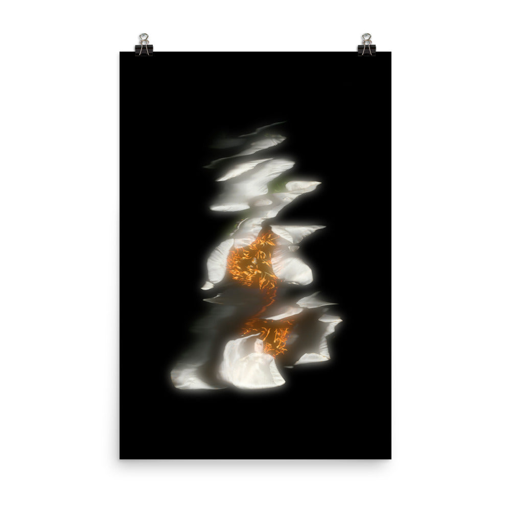 Glow Peony Scanography no. 3 Premium Luster Photo Paper Print