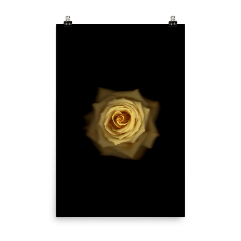 Elegant Yellow Rose Scanography Photo Paper Print