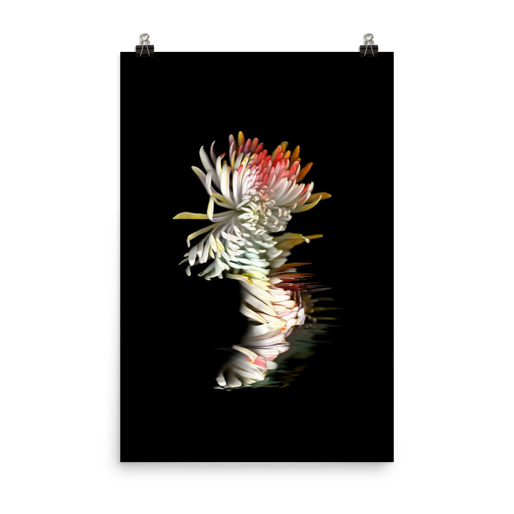 Rainbow Chrysanthemum no. 01 Scanography Premium Luster Photo Paper Print