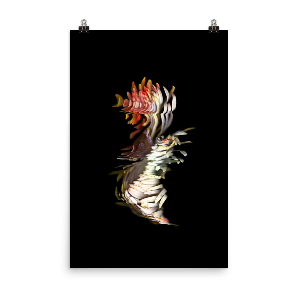 Rainbow Chrysanthemum no. 04 Scanography Premium Luster Photo Paper Print