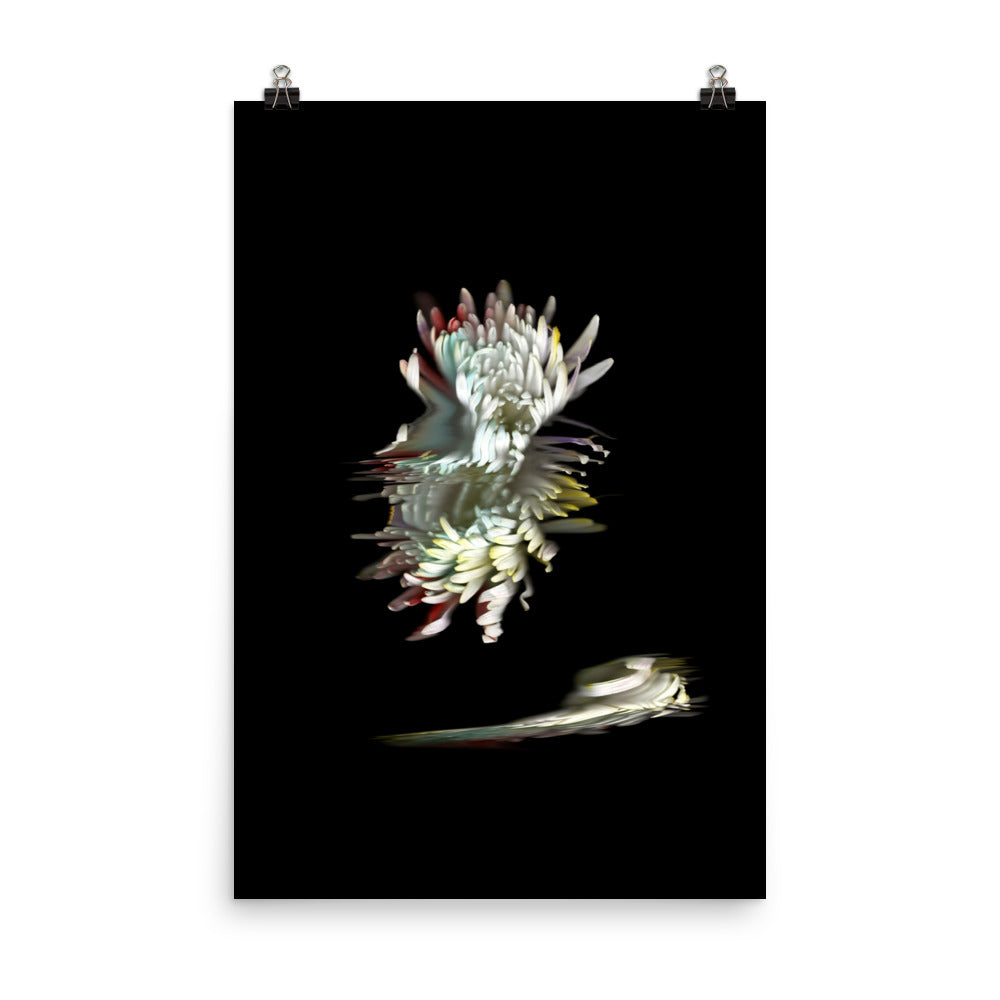 Rainbow Chrysanthemum no. 05 Scanography Premium Luster Photo Paper Print
