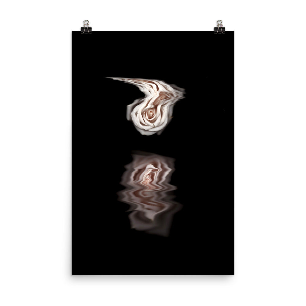 Pink Rose Mirage Scanography Photo Paper Print