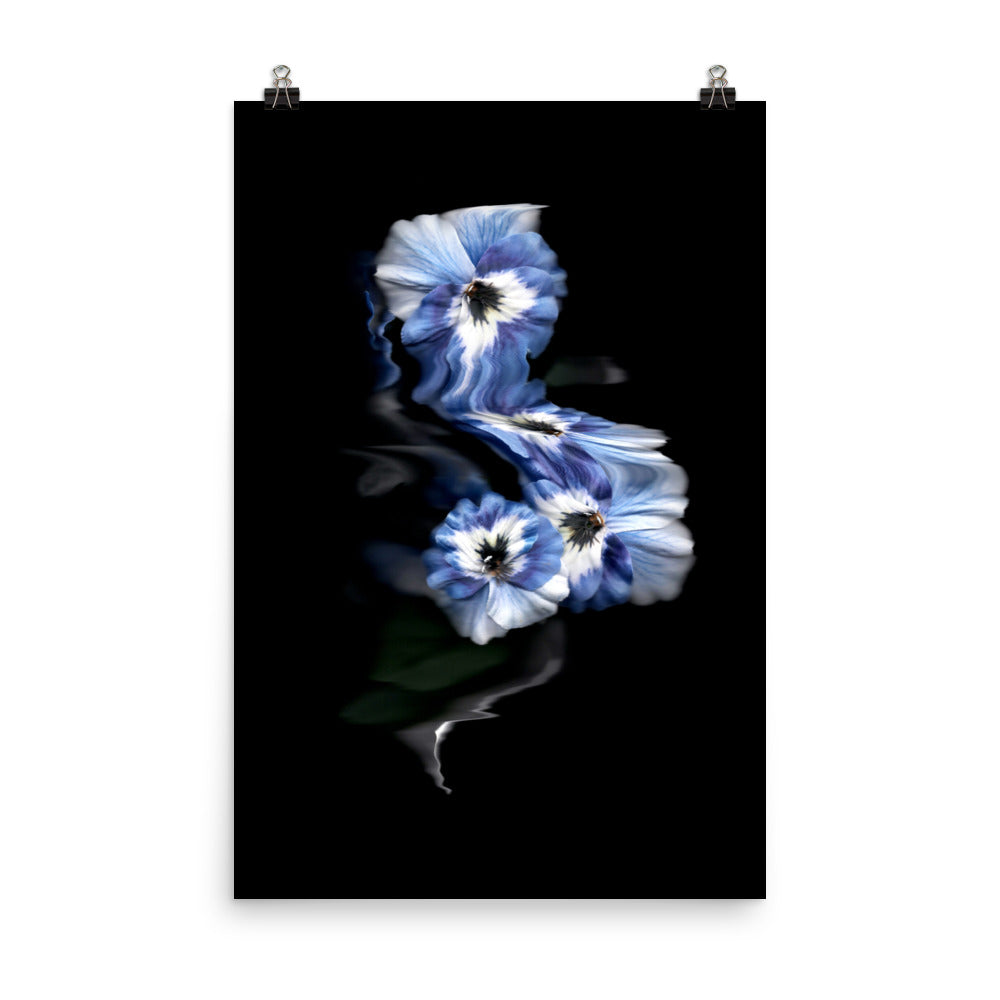 Azure Elegance Pansy Scanography Premium Luster Photo Print