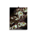 Bismuth Neon Daisy Scanography Premium Luster Photo Paper Print