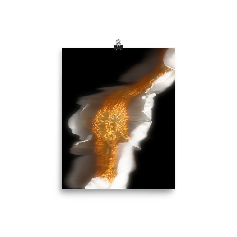 Glow Peony Scanography no. 1 Photo Paper Print