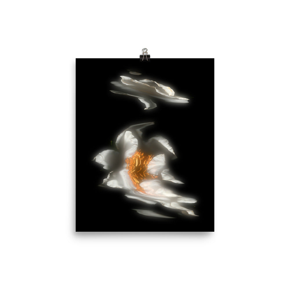 Glow Peony Scanography no. 2 Premium Luster Photo Paper Print