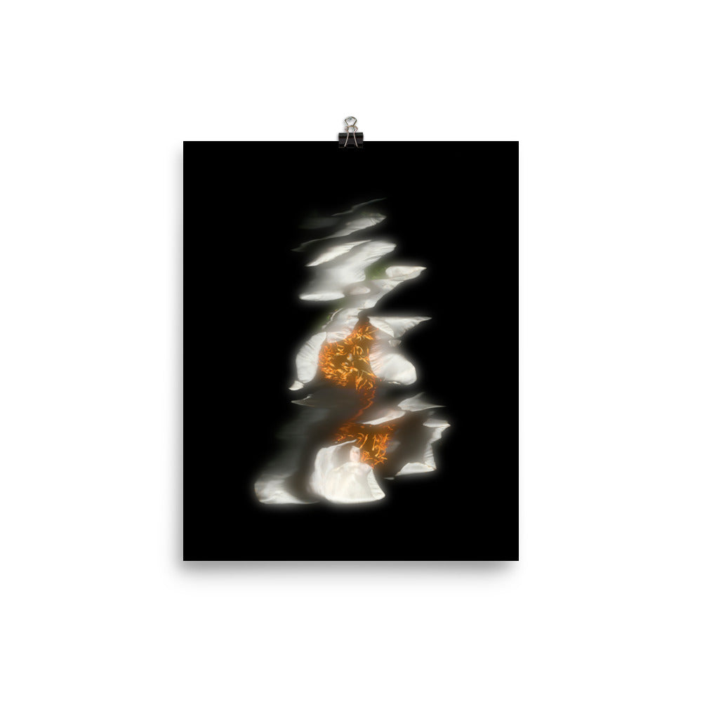 Glow Peony Scanography no. 3 Premium Luster Photo Paper Print