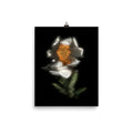 Glow Peony Scanography no. 4 Premium Luster Photo Paper Print