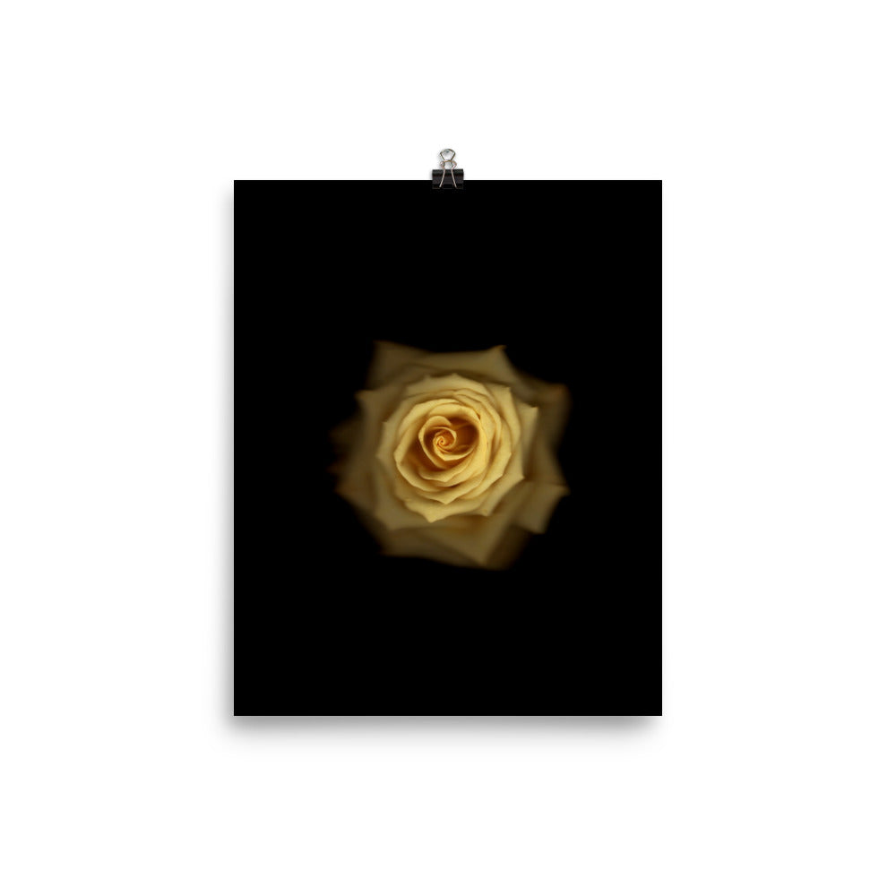 Elegant Yellow Rose Scanography Photo Paper Print