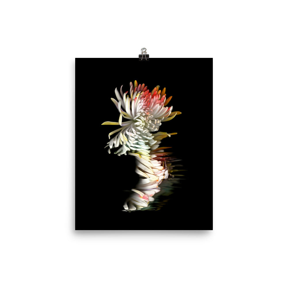 Rainbow Chrysanthemum no. 01 Scanography Photo Paper Print