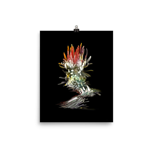 Rainbow Chrysanthemum no. 02 Scanography Photo Paper Print