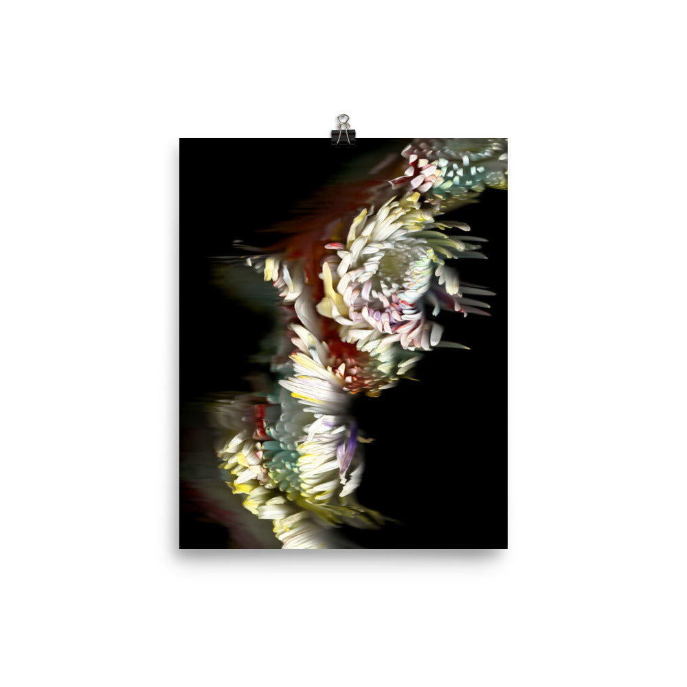 Rainbow Chrysanthemum no. 03 Scanography Premium Luster Photo Paper Print