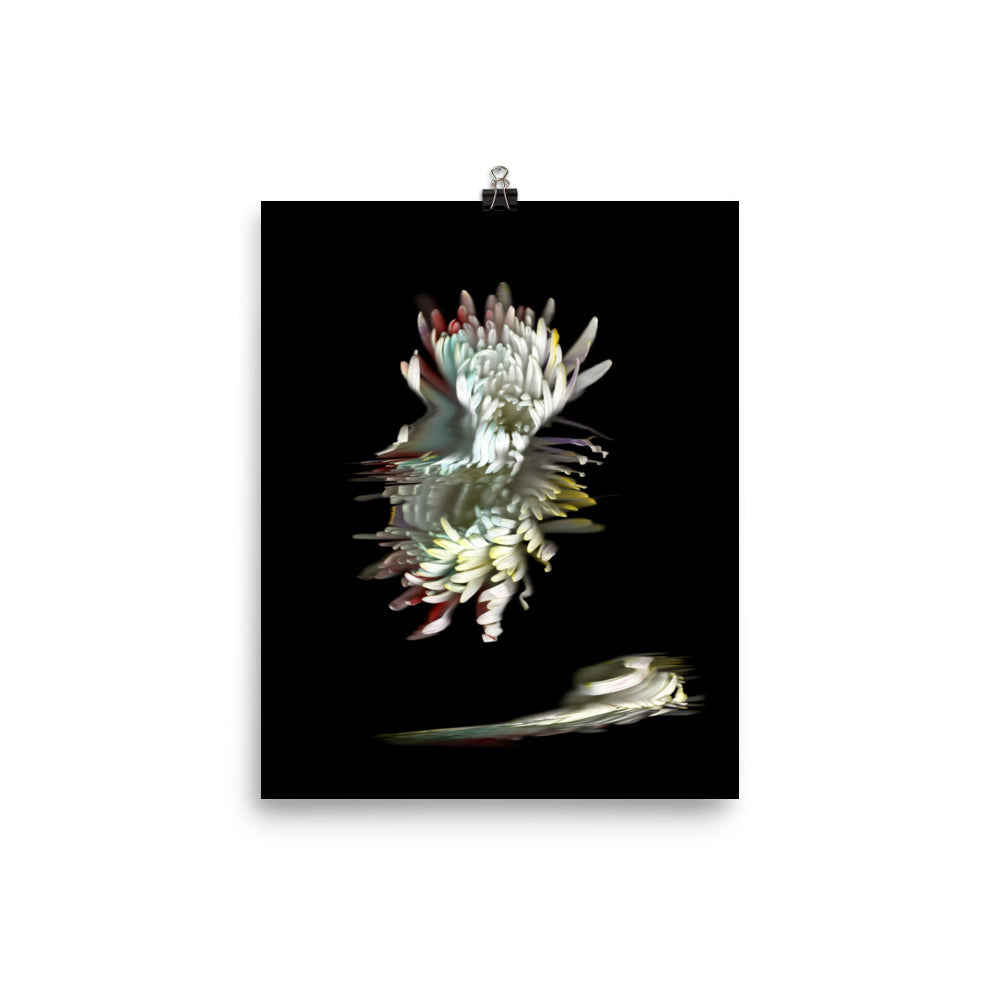 Rainbow Chrysanthemum no. 05 Scanography Premium Luster Photo Paper Print