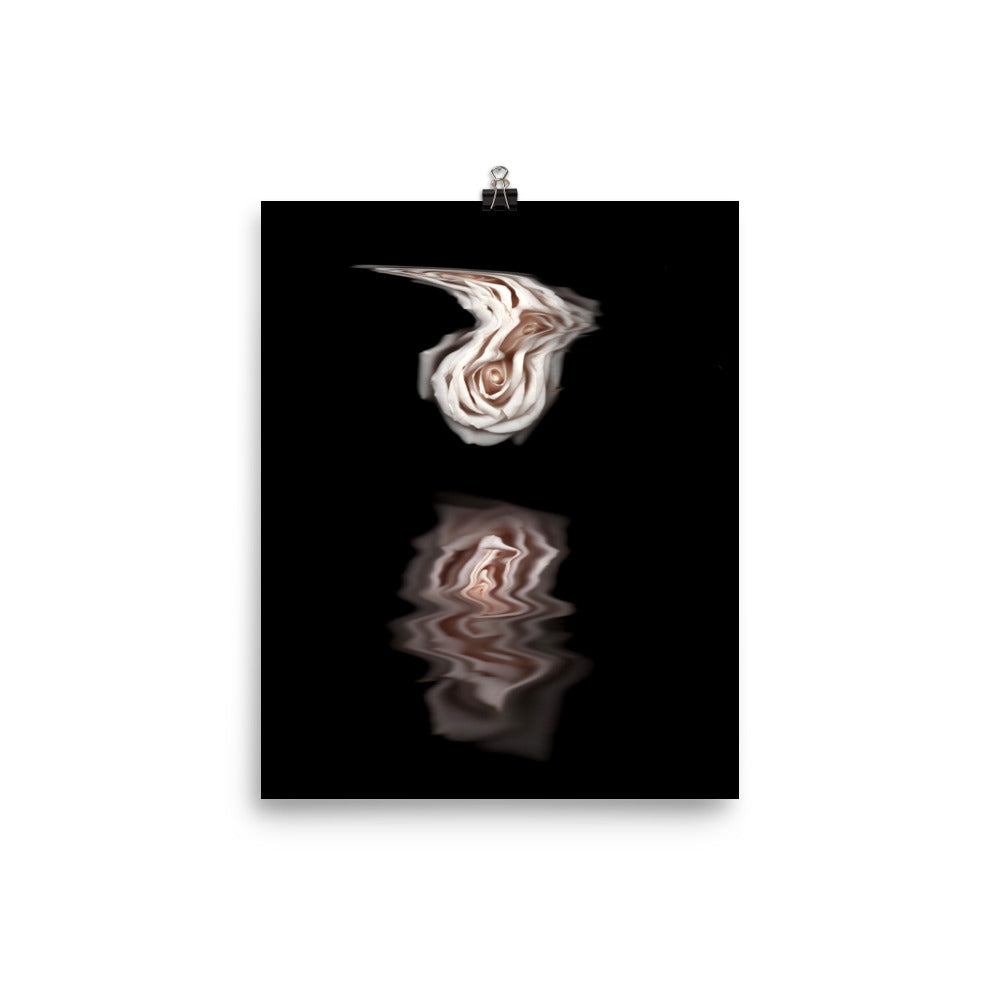 Pink Rose Mirage Scanography Photo Paper Print