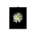 Ethereal Blooms Chrysanthemum no. 2 Scanography Premium Luster Photo Print