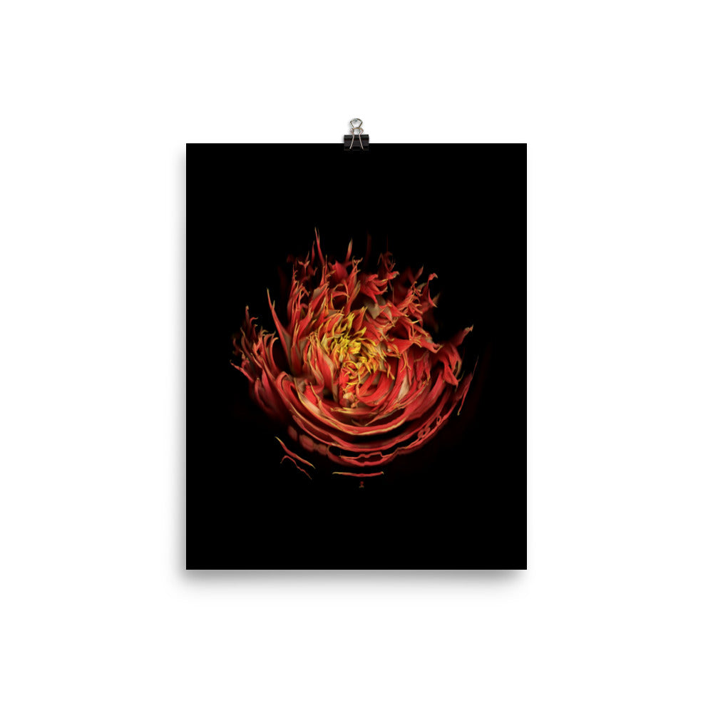Dahlia Inferno Scanography Premium Luster Photo Paper Print