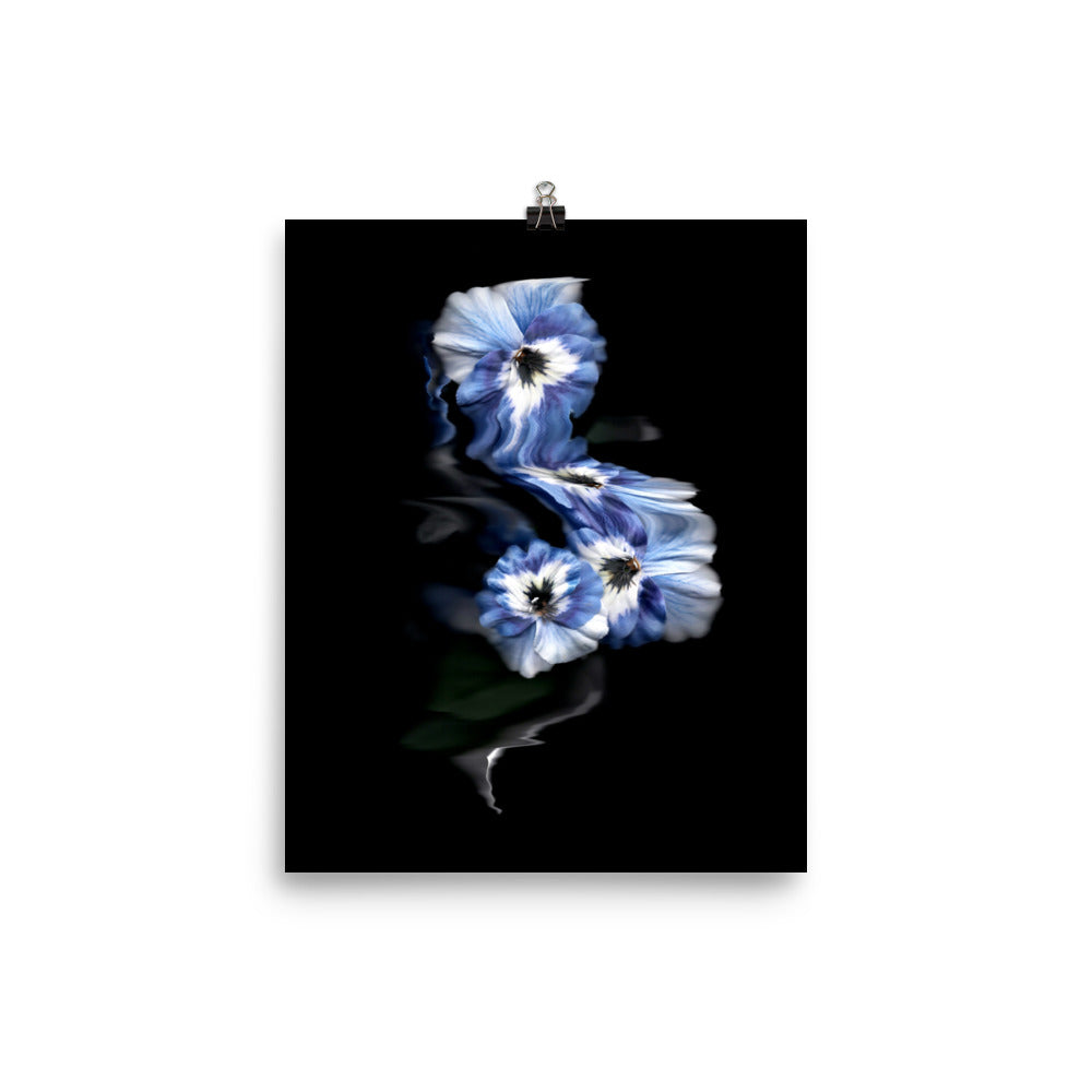 Azure Elegance Pansy Scanography Premium Luster Photo Print