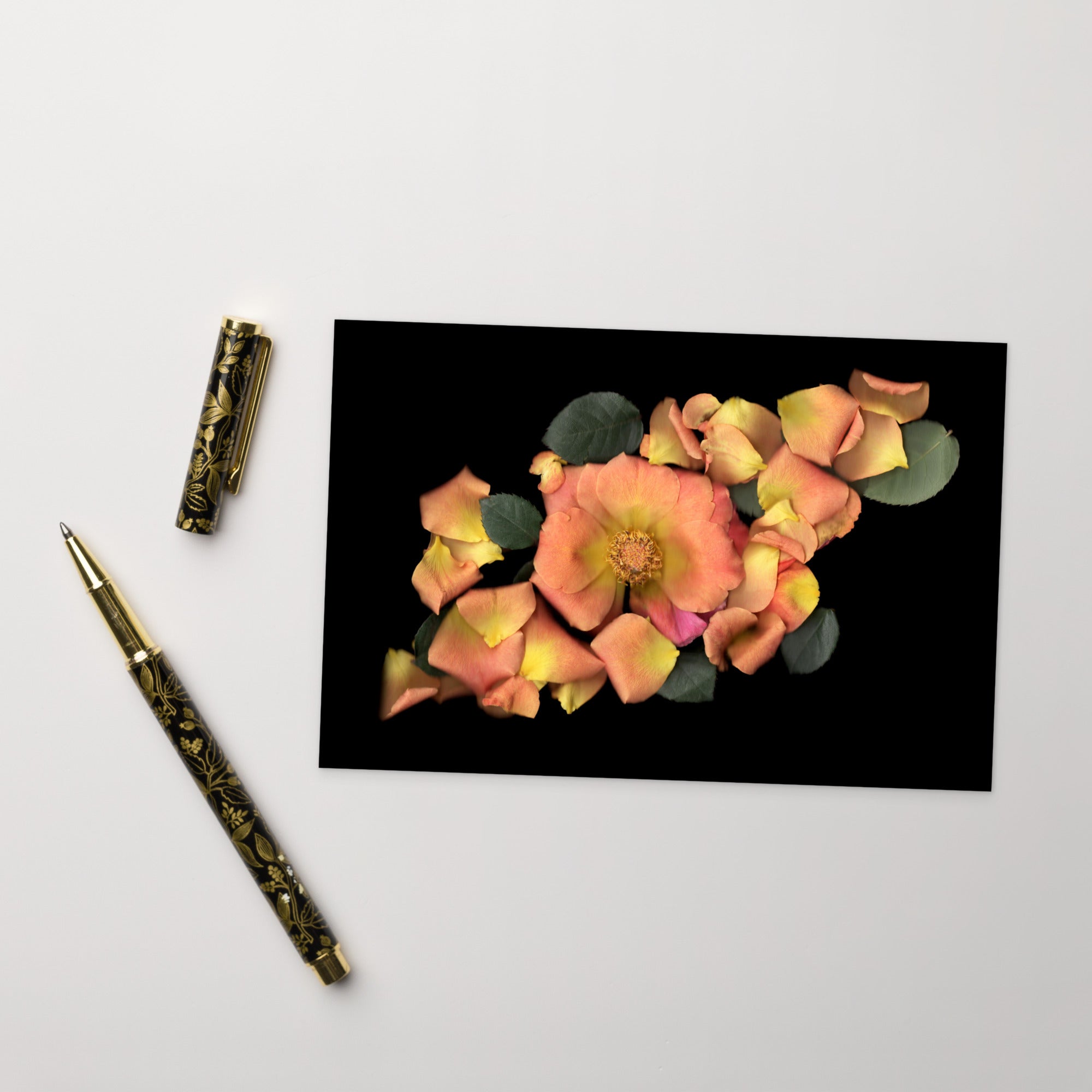 Orange Garden Rose Scanography Postcard