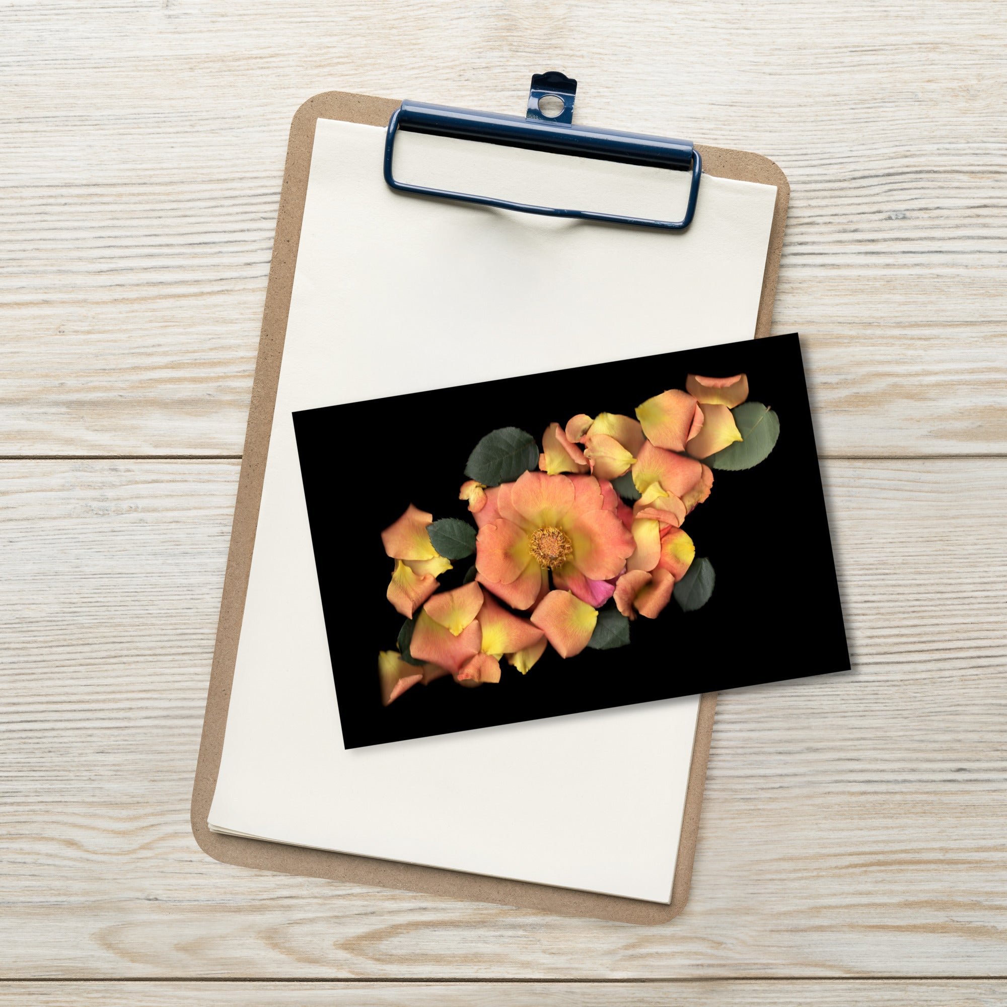 Orange Garden Rose Scanography Postcard