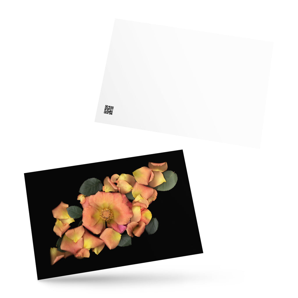 Orange Garden Rose Scanography Postcard