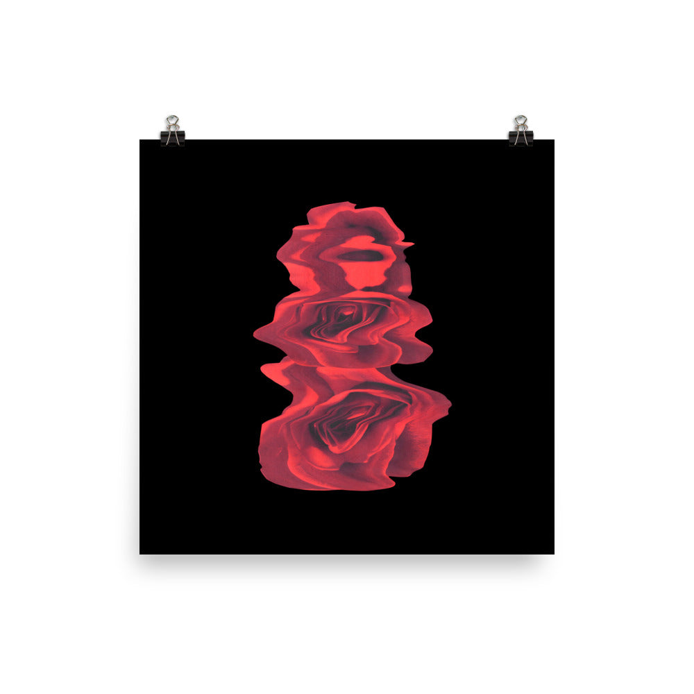 Rose Collection - no. 3 Scanography Matte Photo Paper Print