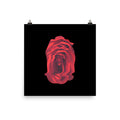 Rose Collection - no. 4 Scanography Matte Photo Paper Print