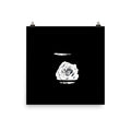 Silver Rose Collection no. 5 Scanography Matte Photo Paper Print
