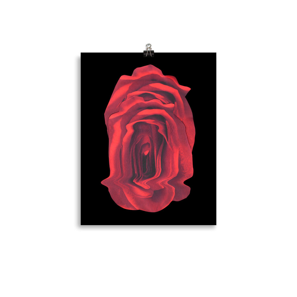 Rose Collection - no. 4 Scanography Matte Photo Paper Print