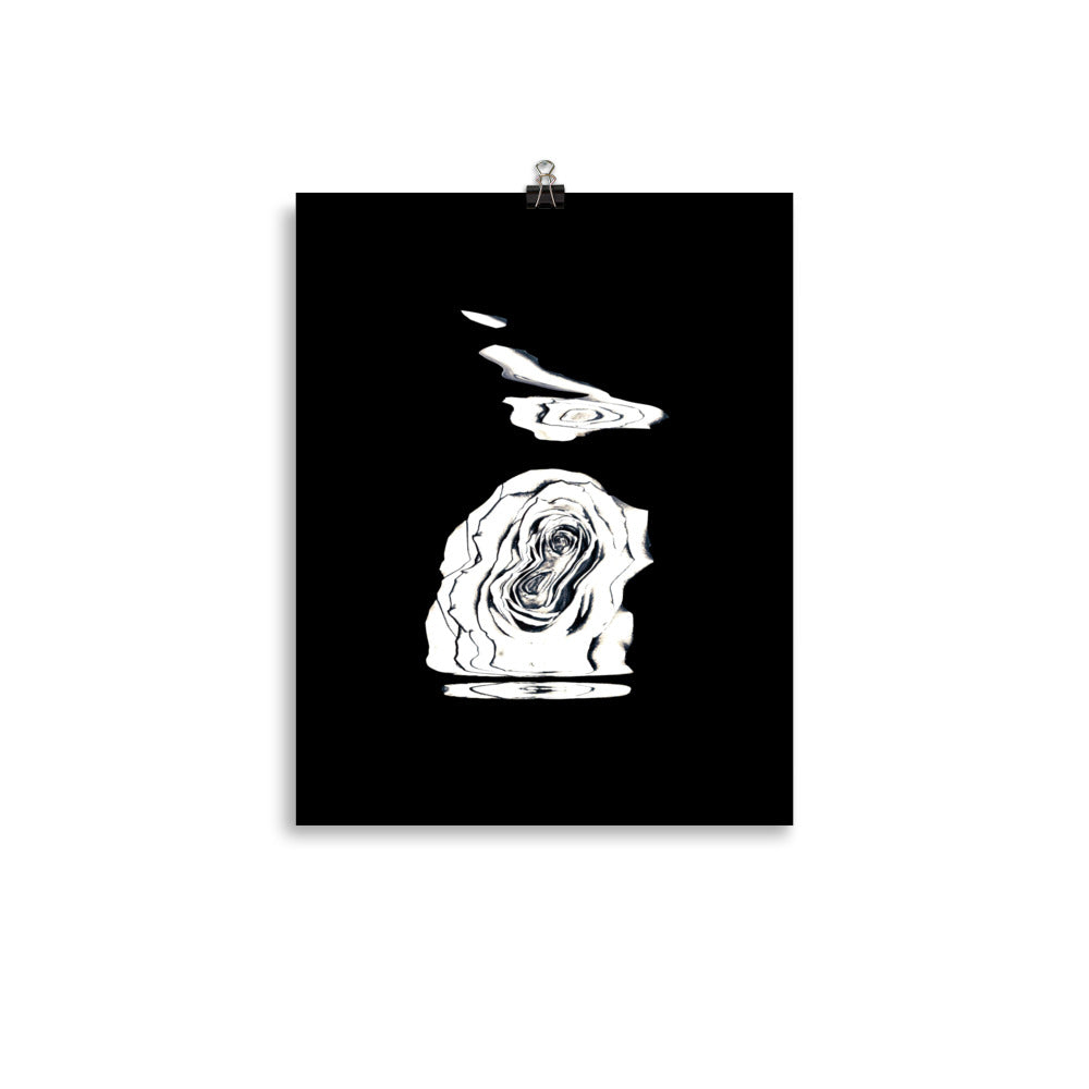 Silver Rose Collection no. 4 Scanography Matte Photo Paper Print