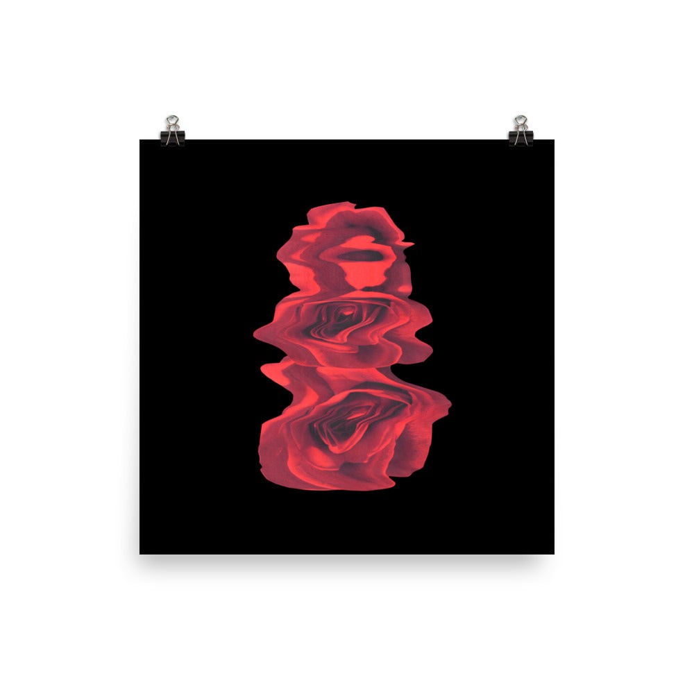 Rose Collection - no. 3 Scanography Matte Photo Paper Print