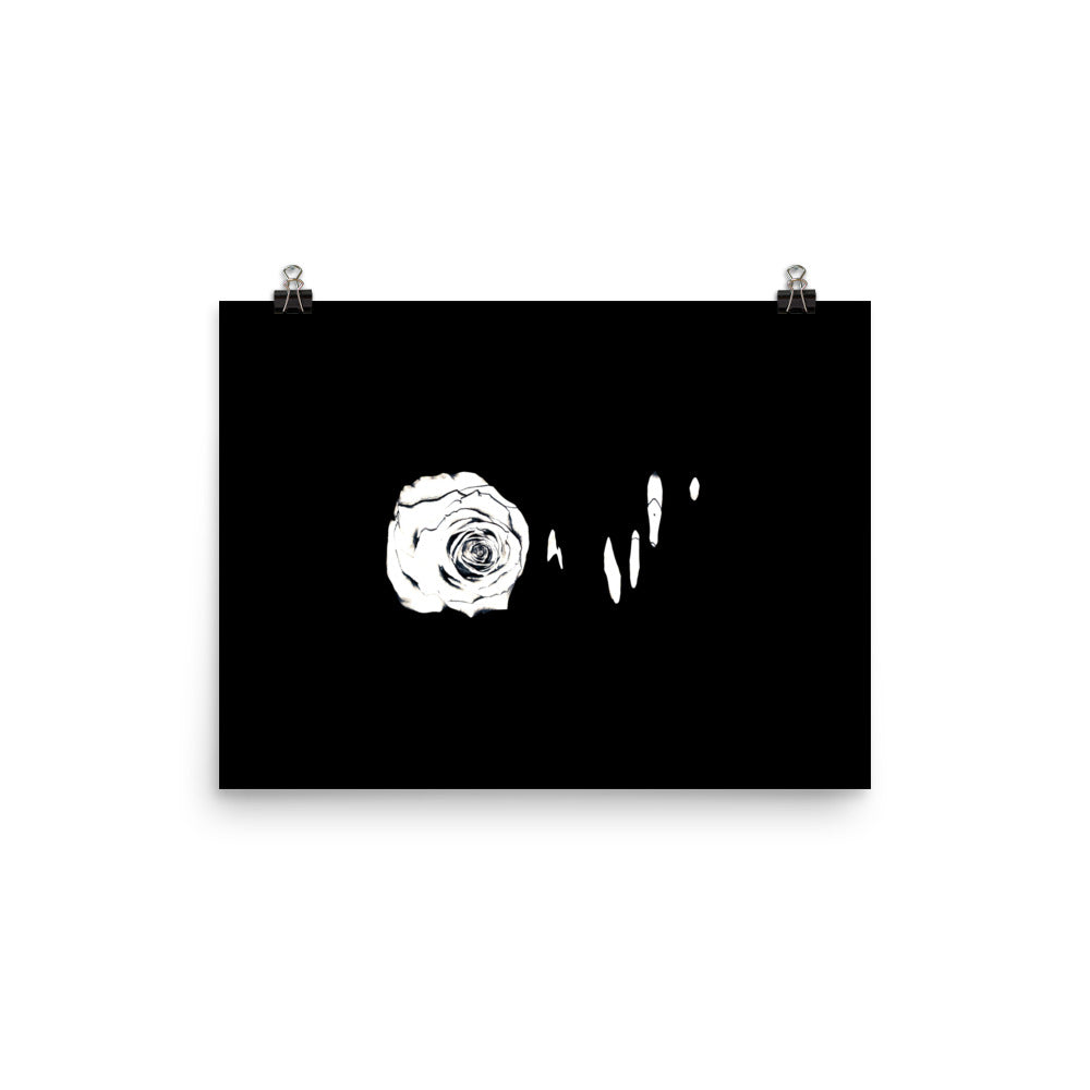 Silver Rose Collection no. 3 Scanography Matte Photo Paper Print