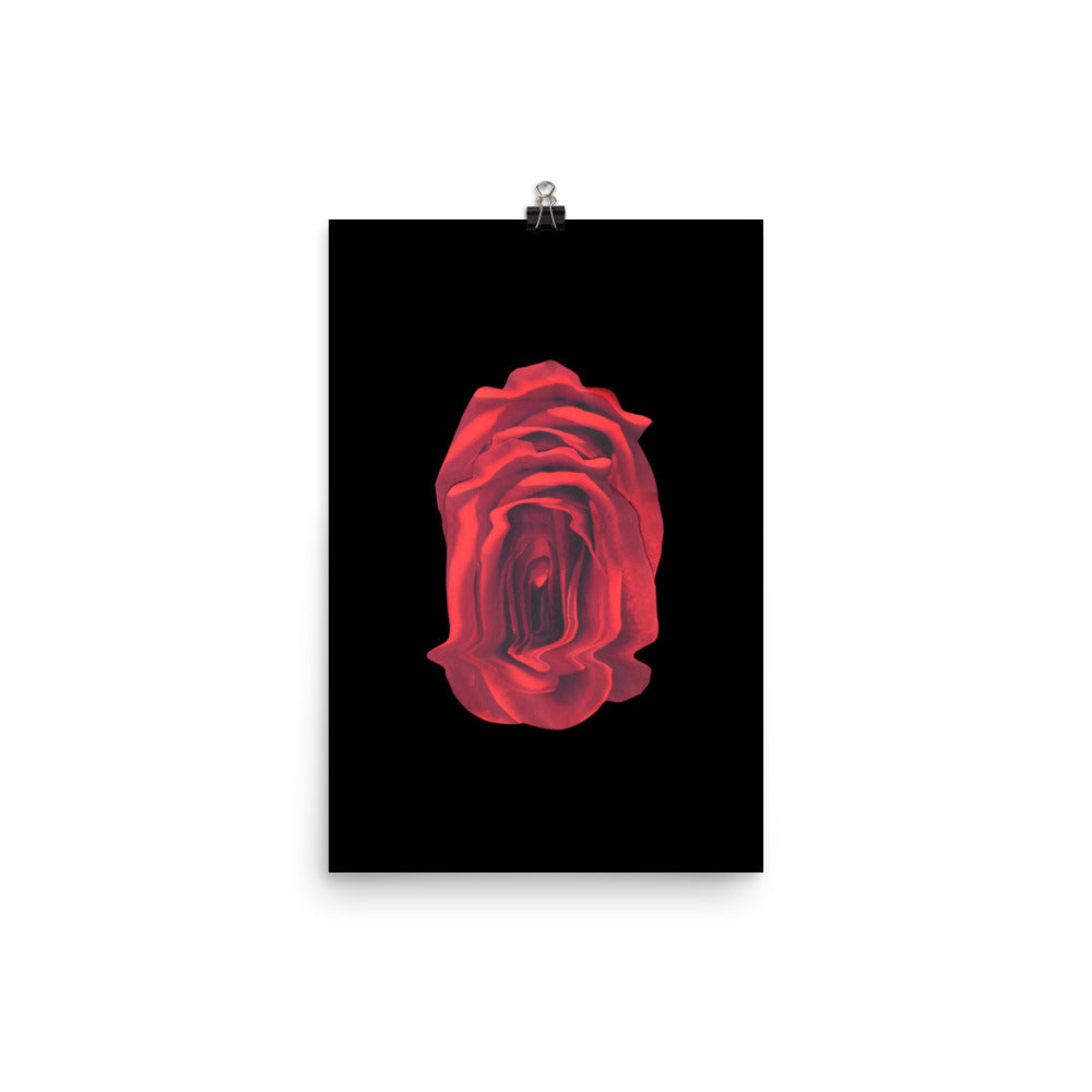 Rose Collection - no. 4 Scanography Matte Photo Paper Print