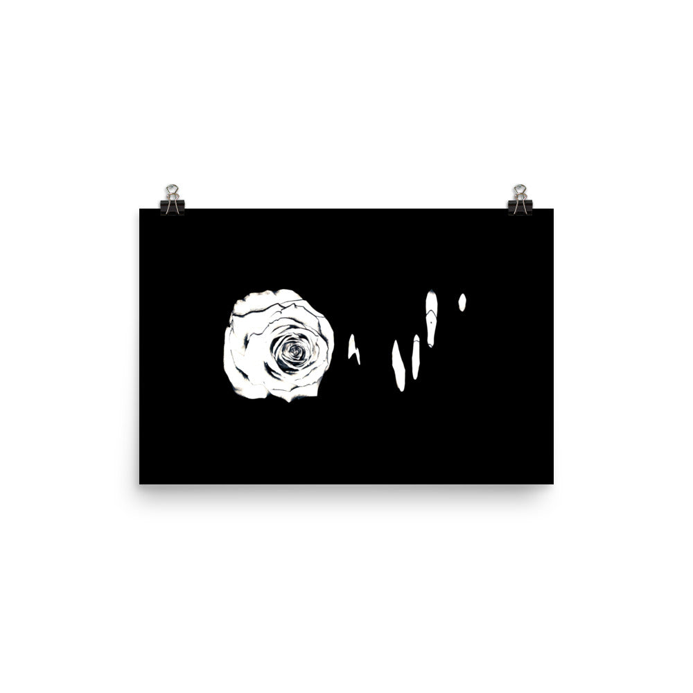 Silver Rose Collection no. 3 Scanography Matte Photo Paper Print
