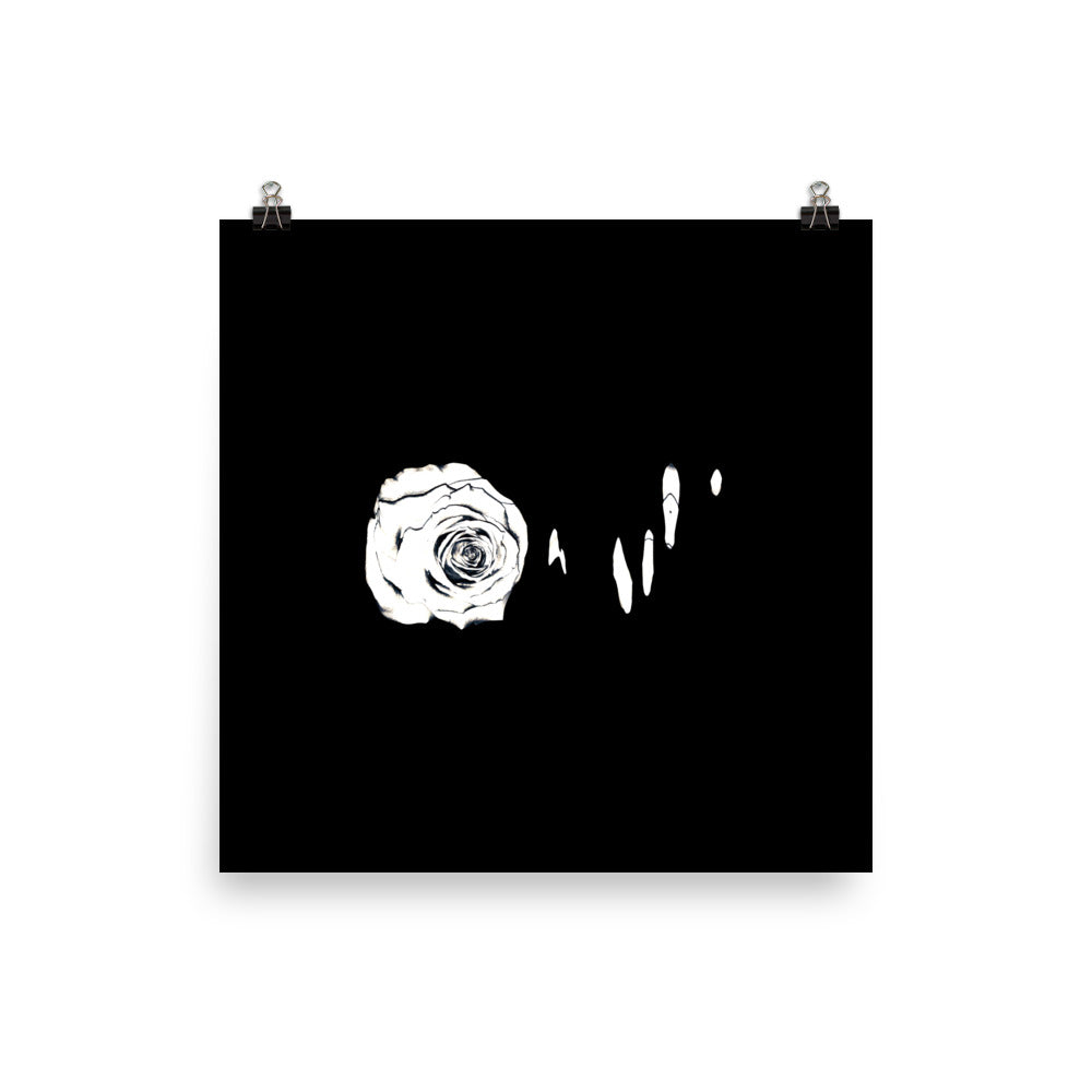 Silver Rose Collection no. 3 Scanography Matte Photo Paper Print