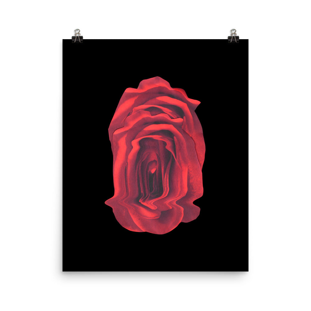 Rose Collection - no. 4 Scanography Matte Photo Paper Print